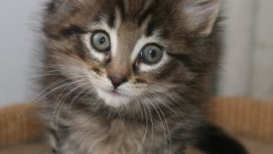 Sequi Ipsam Dicta Odio