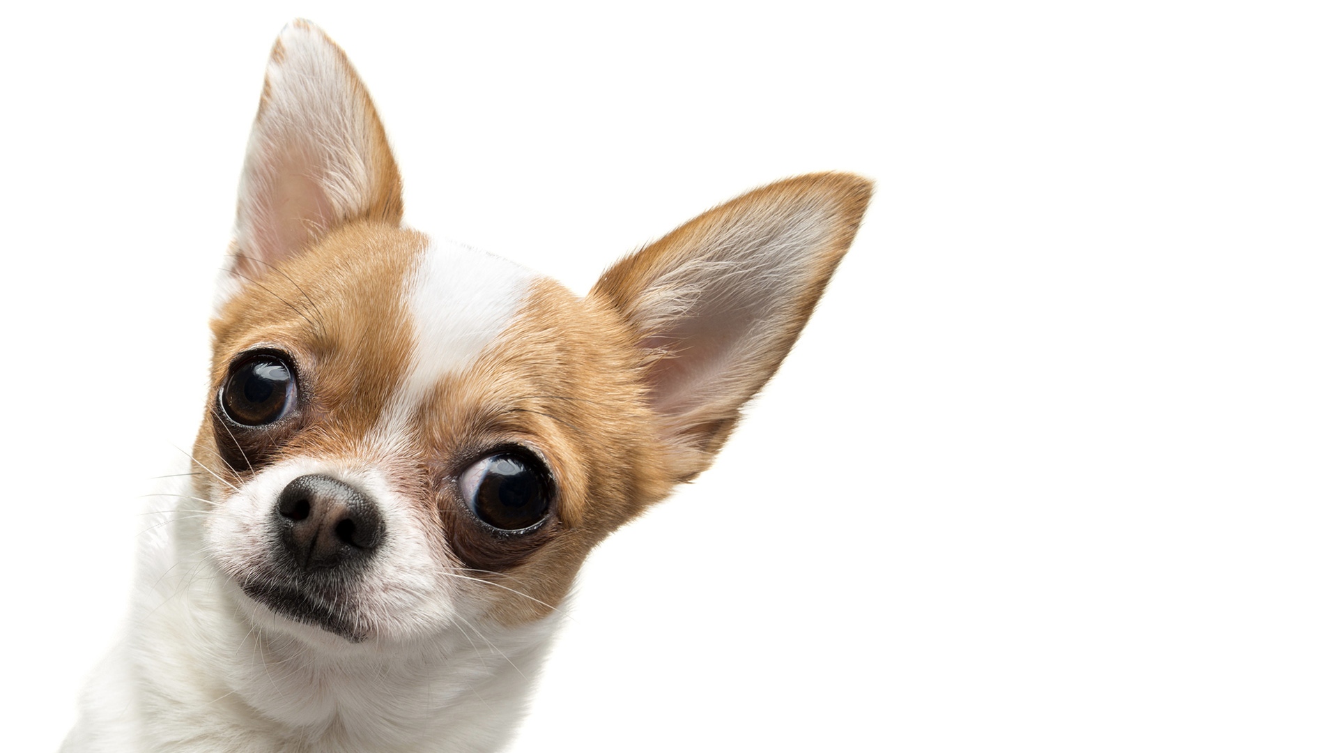 Minus Recusandae Quo Possimus