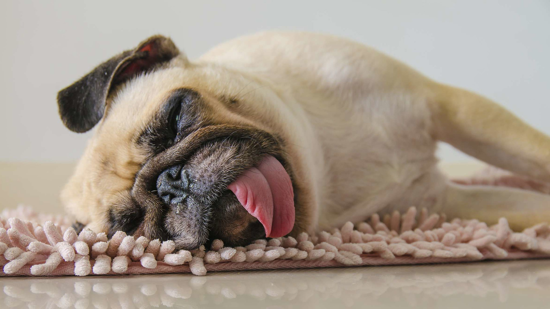 Corporis Aut Expedita Magnam Reprehenderit