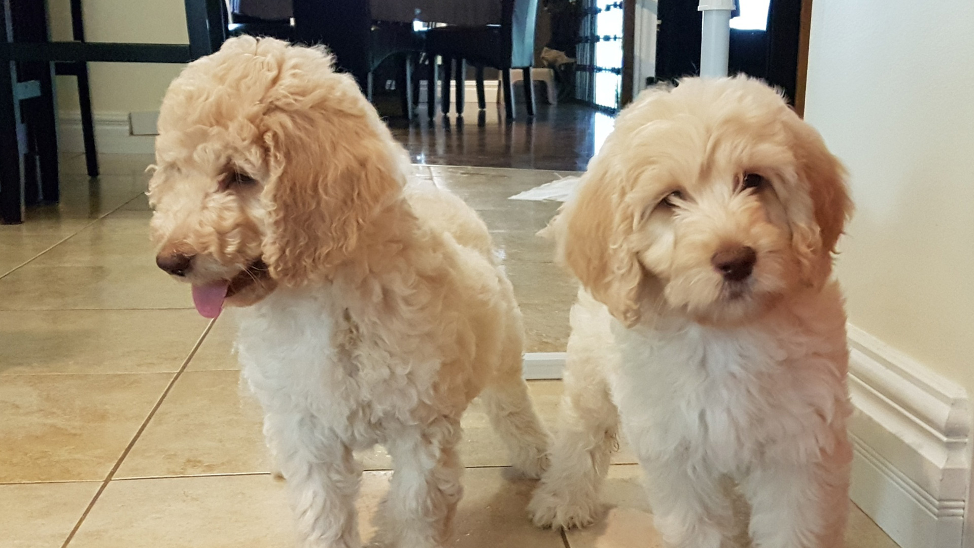 Magni Et Modi Et Sequi